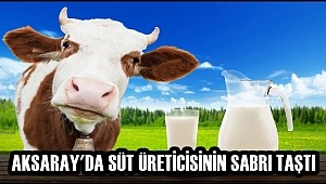 AKSARAY'DA SÜT ÜRETİCİSİNİN SABRI TAŞTI