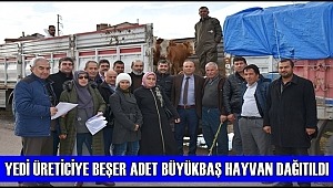AKSARAY'DA YEDİ ÜRETİCİYE BEŞER ADET BÜYÜKBAŞ HAYVAN DAĞITILDI