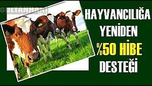 HAYVANCILIĞA YENİDEN YÜZDE ELLİ HİBE DESTEĞİ GELİYOR