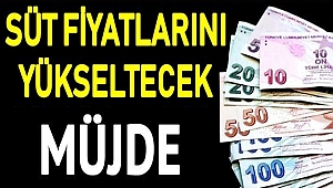 HÜKÜMETTEN SÜT FİYATLARINI ARTIRACAK KARAR