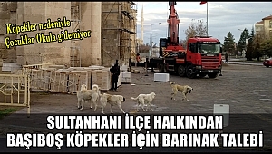 SULTANHANI İLÇESİNDE VATANDAŞLARDAN BAŞIBOŞ KÖPEKLERE BARINAK TALEBİ