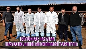 AKSARAY'DA BÜYÜKBAŞ HAYVAN HASTALIKLARI BİLGİLENDİRMESİ YAPILIYOR