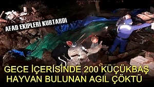 AKSARAY'DA İÇERİSİNDE 200 KÜÇÜKBAŞ HAYVAN BULUNAN AGIL ÇÖKTÜ