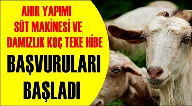 AKSARAY'DA AHIR YAPIMI, SÜT MAKİNESİ VE DAMIZLIK KOÇ TEKE HİBE BAŞVURULARI BAŞLADI 