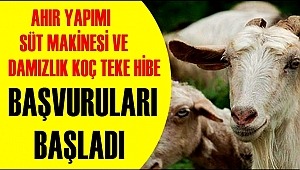 AKSARAY'DA AHIR YAPIMI, SÜT MAKİNESİ VE DAMIZLIK KOÇ TEKE HİBE BAŞVURULARI BAŞLADI 