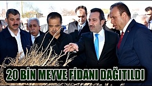 AKSARAY'DA 20 BİN MEYVE FİDANI DAĞITIMI YAPILDI