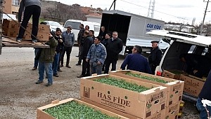 AKSARAY'DA SERALARDA ÜRETİM YAPAN ÇİFTÇİLERE FİDE DAĞITIMI YAPILDI