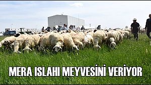 AKSARAY'DA MERA ISLAHI İLE OTLAKLAR GÜRLEŞTİ