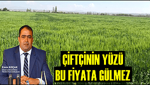 ÇİFTÇİNİN YÜZÜ BU FİYATA GÜLMEZ 