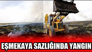 EŞMEKAYA SAZLIĞINDA YİNE YANGIN