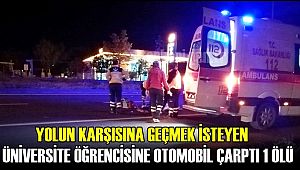 OTOMOBİLİN ÇARPTIĞI ÜNİVERSİTE ÖĞRENCİSİ SEVGİ ÖNDER HAYATINI KAYBETTİ