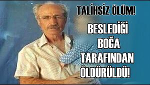 TALİHSİZ ADAM BESLEDİĞİ BOĞA TARAFINDAN ÖLDÜRÜLDÜ