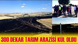 AĞAÇÖREN İLÇESİNDE 300 DEKAR TARIM ARAZİSİ KÜL OLDU