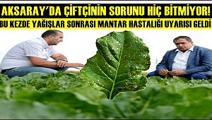 AKSARAY'DA ÇİFTÇİNİN SORUNU HİÇ BİTMİYOR! BU KEZDE MANTAR HASTALIĞI UYARISI GELDİ