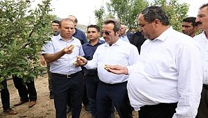 AKSARAY'DA DOLUDAN ZARAR GÖREN ALANLARDA İNCELEME