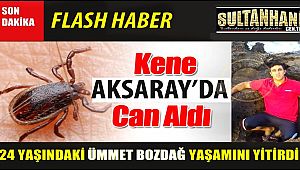 AKSARAY'DA KENE BİR CAN ALDI