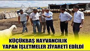 AKSARAY'DA KÜÇÜKBAŞ HAYVANCILIK YAPAN İŞLETMELER ZİYARETİ EDİLDİ