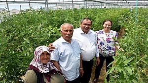 AKSARAY'DA SERALARDAKİ ÜRÜNLER HASAT EDİLİYOR