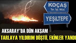 AKSARAY KOÇAŞ TARIM İŞLETMELERİ ARAZİSİNE YILDIRIM DÜŞTÜ EKİNLER ALEV ALDI