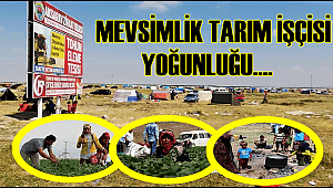 AKSARAY MEVSİMLİK TARIM İŞÇİLERİNİN YOĞUN OLDUĞU İLLERİN BAŞINDA GELİYOR