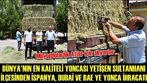 DÜNYA'NIN EN KALİTELİ YONCASI YETİŞEN SULTANHANI İLÇESİNDEN İSPANYA, DUBAİ VE BAE YE YONCA İHRACATI