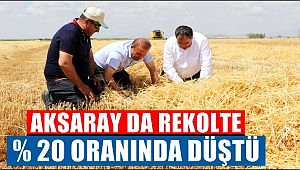 AKSARAY DA 2019 YILI HASAT DÖNEMİNDE REKOLTE % 20 DÜŞTÜ