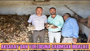 AKSARAY'DAN YURTDIŞINA SARIMSAK İHRACATI YAPILIYOR