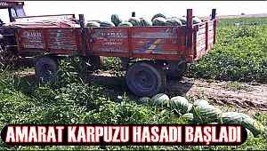 AMARAT KARPUZU 2019 SEZONU HASADI BAŞLADI