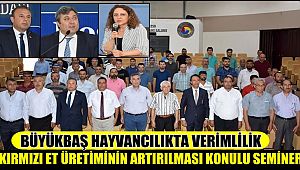 AKSARAY'DA BÜYÜKBAŞ HAYVANCILIKTA VERİMLİLİK, KIRMIZI ET ÜRETİMİNİN ARTIRILMASI KONULU SEMİNER