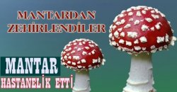 Aksaray'da Bir Aile Mantardan Zehirlendi...