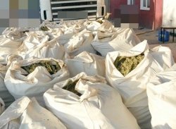 Aksaray'da 223 Kilo Esrar Ele Geçirildi