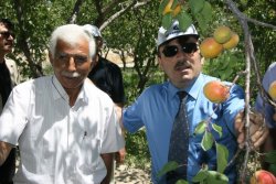 Vali Altınok Aksaraya Meyve Bahçeleride Kazandırmalıyız