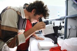 öğrenciler Laboratuvarlarda Deneyimini Geliştiriyor