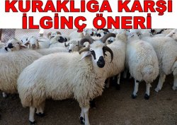 Konya Ovasına Kuraklığa Karşı İlginç Bir öneri