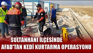 BÜTÜN CANLILARA MERHAMETLİ VE VİCDANLI OLABİLMEK HER KULA NASİP OLMAZ...