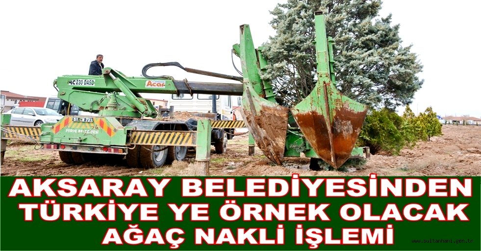 AKSARAY BELEDİYESİNDEN TÜRKİYE YE ÖRNEK OLACAK AĞAÇ NAKLİ