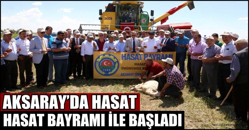 AKSARAY’DA HASAT HASAT BAYRAMI İLE BAŞLADI