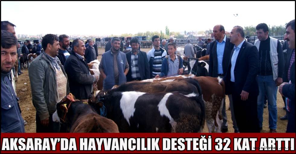 AKSARAY’DA HAYVANCILIK DESTEĞİ 32 KAT ARTTI