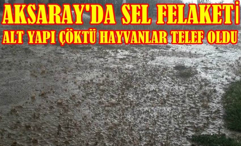 Aksaray Taşpınar Kasabasın'da Sel Felaketi