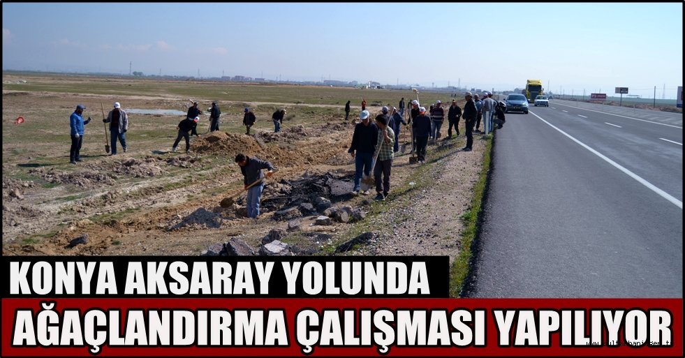 AKSARAY TİCARET BORSASI'NIN AĞAÇLANDIRMA PROJESİ KONYA YOLUNDA DEVAM EDİYOR