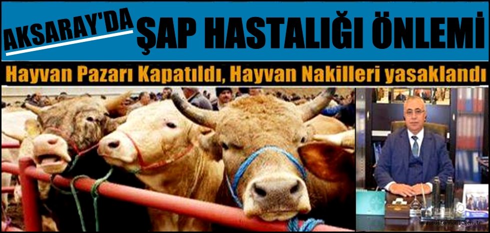 AKSARAY'DA HAYVAN PAZARI KAPATILDI HAYVAN NAKİLLERİ YASAKLANDI