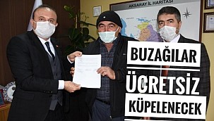 AKSARAY'DA 2021 YILINDA BUZAĞILAR ÜCRETSİZ KÜPELENECEK