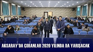 AKSARAY'DA ÇOBANLAR 2020 YILINDA DA YARIŞACAK