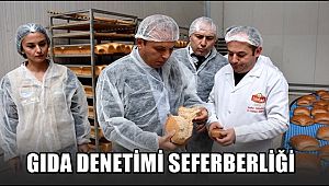 AKSARAY'DA GIDA DENETİMİ SEFERBERLİĞİ İŞ YERLERİ DENETLENİYOR