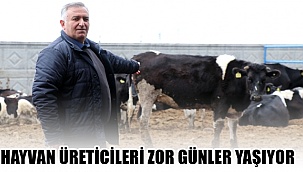 AKSARAY'DA HAYVAN ÜRETİCİLERİ ZOR GÜNLER YAŞIYOR