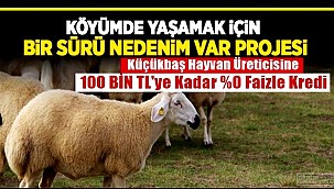 AKSARAY'DA HEDEF KÜÇÜKBAŞ HAYVAN SAYISINI 1,5 MİLYONA ÇIKARMAK