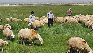 AKSARAY'DA MERA ISLAH ÇALIŞMALARI HIZ KESMEDEN DEVAM EDİYOR