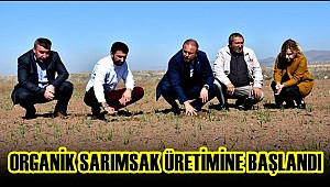 AKSARAY'DA ORGANİK TARIM İLE SARIMSAK YETİŞTİRİCİLİĞİ YAPILIYOR