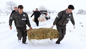 AKSARAY'DA YABAN HAYVANLARI İÇİN DOĞAYA YEM VE GIDA MADDELERİ BIRAKILDI 