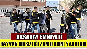 AKSARAY EMNİYETİ 14 HIRSIZLIK ZANLISINI YAKALADI 7 Sİ TUTUKLANDI